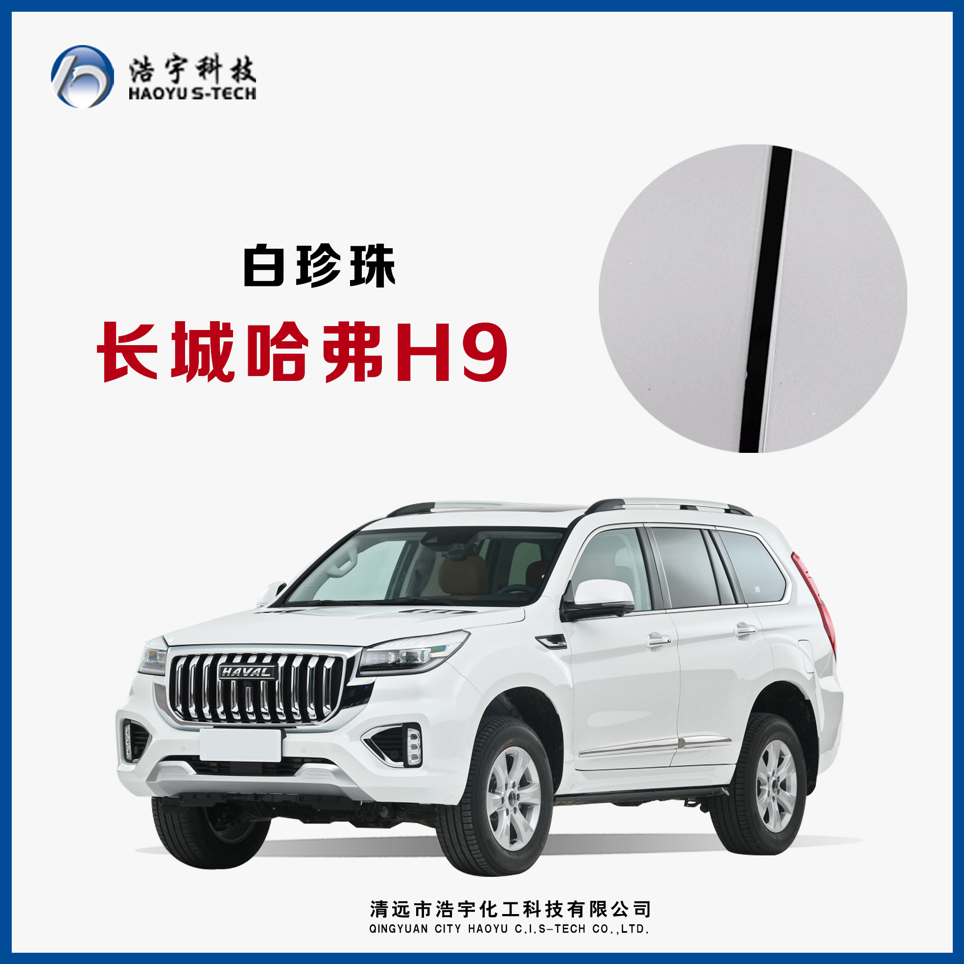 長(zhǎng)城汽車/哈弗H9/20款  漢密爾頓白